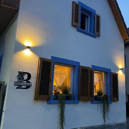 Ferienwohnung Blumenshein Bei Speyer Karlsruhe Familienfreundlich 5 Pers Zeiskam Eksteriør billede