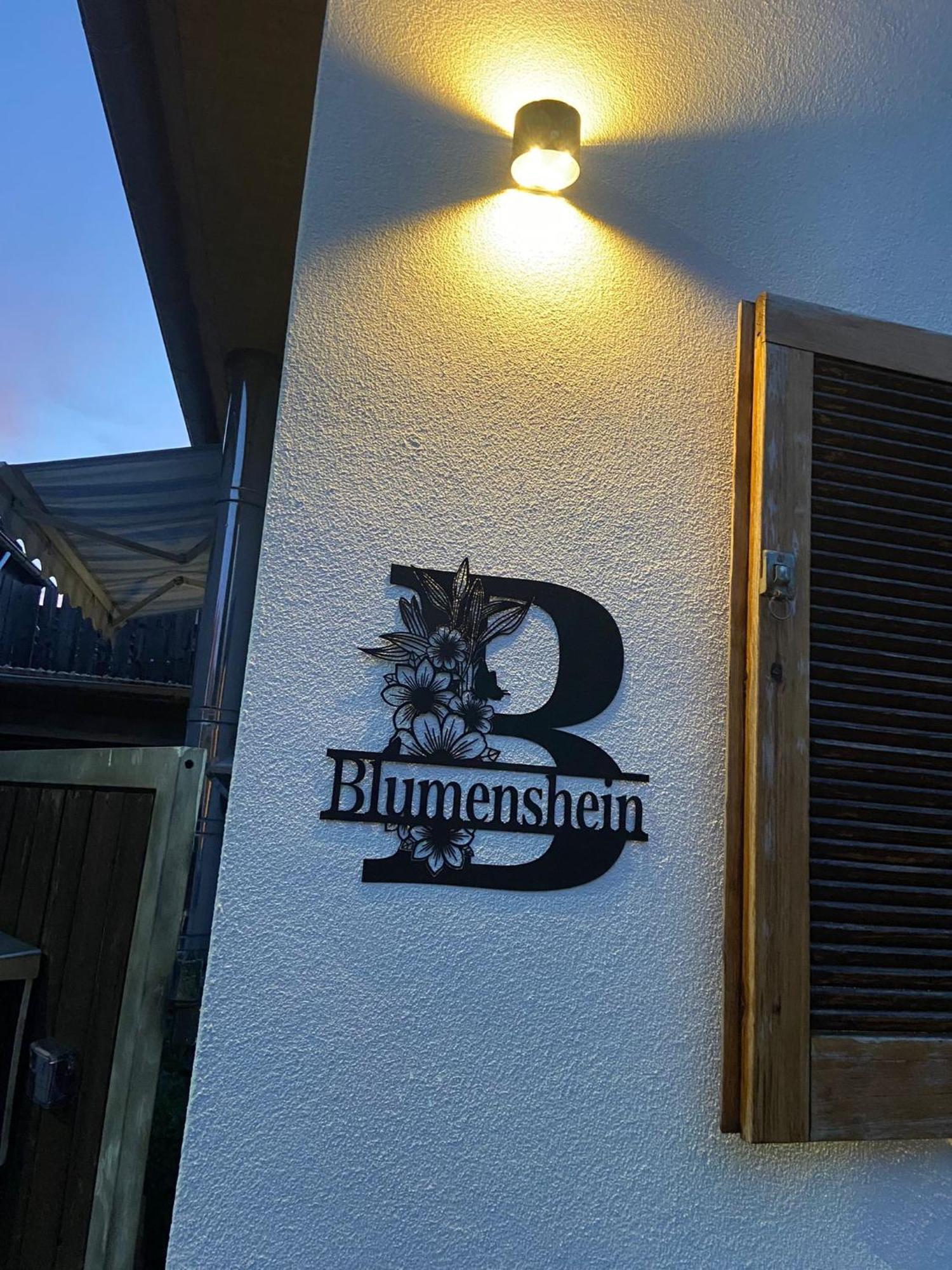 Ferienwohnung Blumenshein Bei Speyer Karlsruhe Familienfreundlich 5 Pers Zeiskam Eksteriør billede