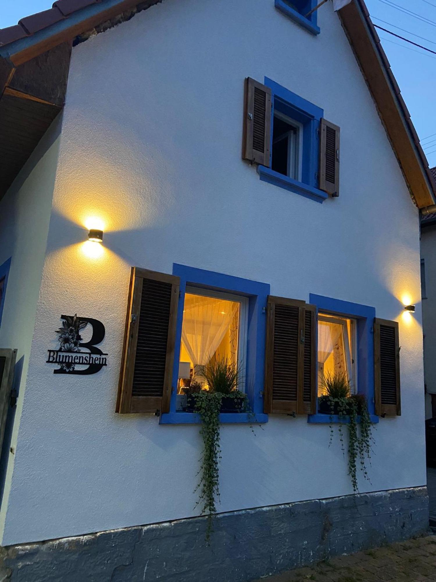 Ferienwohnung Blumenshein Bei Speyer Karlsruhe Familienfreundlich 5 Pers Zeiskam Eksteriør billede